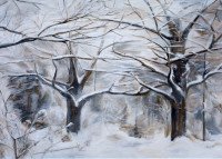 /album/obrazy/zimni-cas-w-jpg/